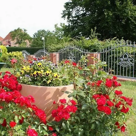 Ferienbungalow Kluetzer Winkel - Abc165